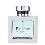 ادوپرفیوم مردانه Silver