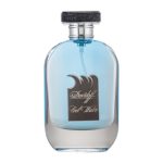 ادوپرفیوم مردانه هات لاو مدل Davidoff Cool Water