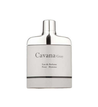 ادو پرفیوم مردانه مدل Cavana Gray