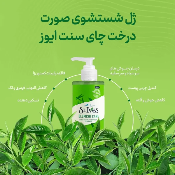 شوینده صورت ضدجوش سنت ایوز مدل چای سبز (Acne Control)